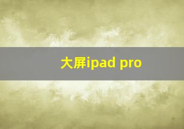 大屏ipad pro